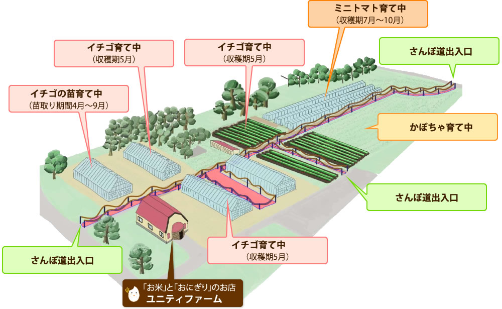 イチゴ狩り 案内図